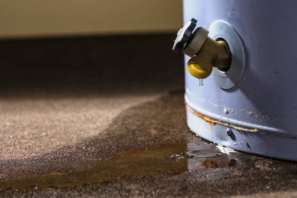Best Flood restoration services  in Wakefield, NE