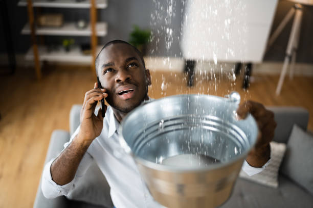 Best Water damage restoration near me  in Wakefield, NE