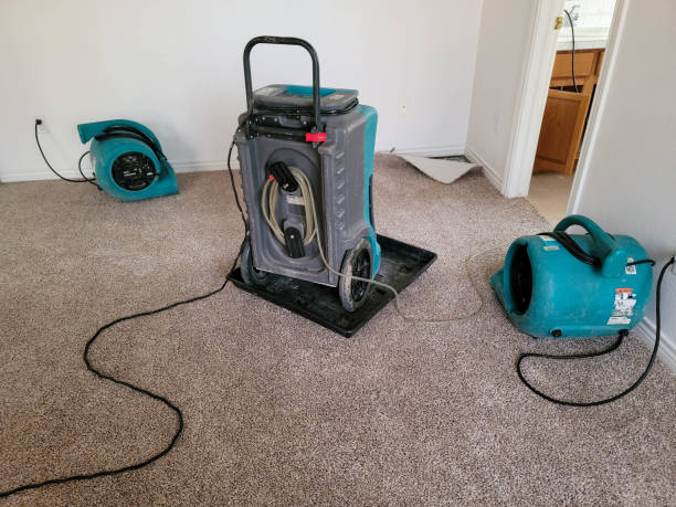 Best Ceiling water damage repair  in Wakefield, NE