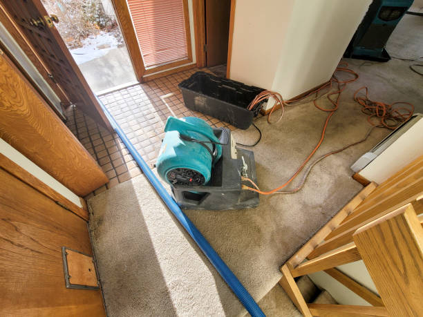 Best 24/7 water damage repair  in Wakefield, NE