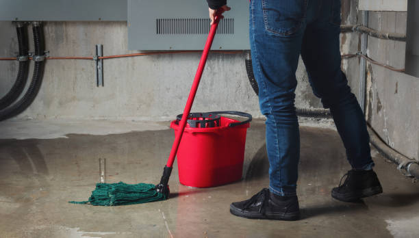 Best Commercial water damage restoration  in Wakefield, NE