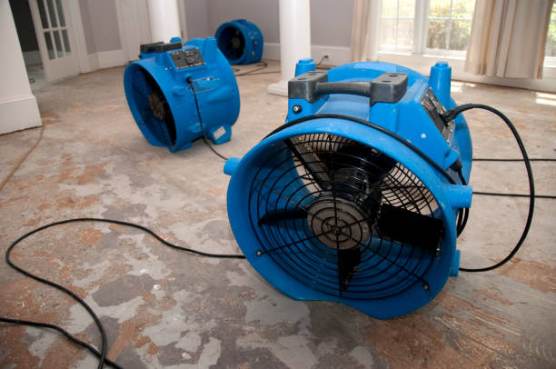 Best Water damage contractors near me  in Wakefield, NE