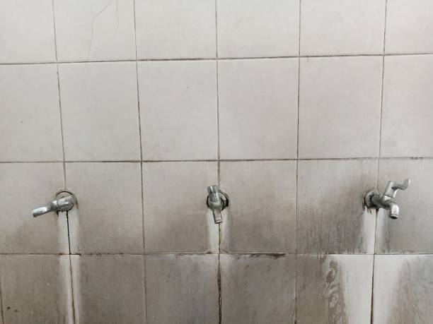 Best Emergency water damage restoration  in Wakefield, NE