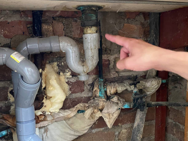 Best Water damage restoration near me  in Wakefield, NE