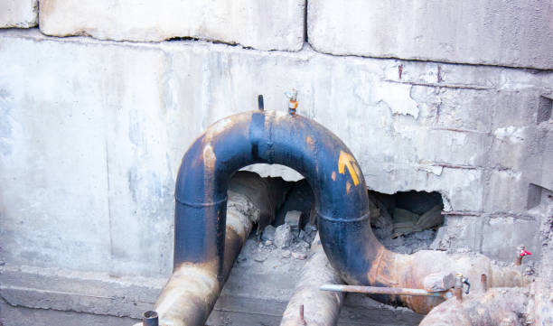 Best Carpet water damage restoration  in Wakefield, NE