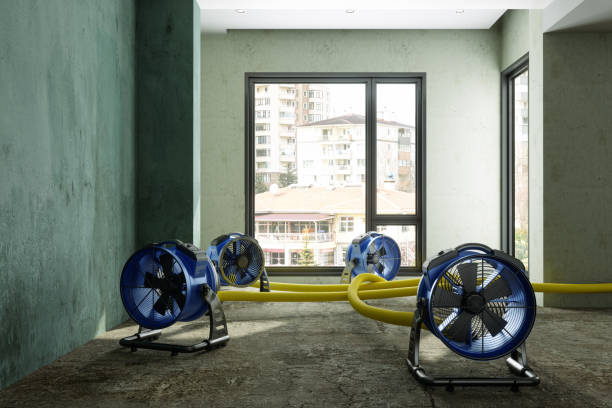 Best 24-hour water damage restoration  in Wakefield, NE