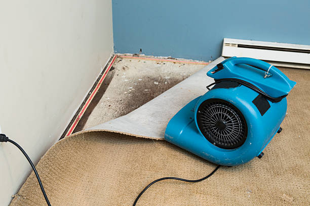 Best Flood restoration services  in Wakefield, NE