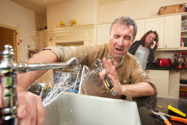 Best Flood damage cleanup  in Wakefield, NE